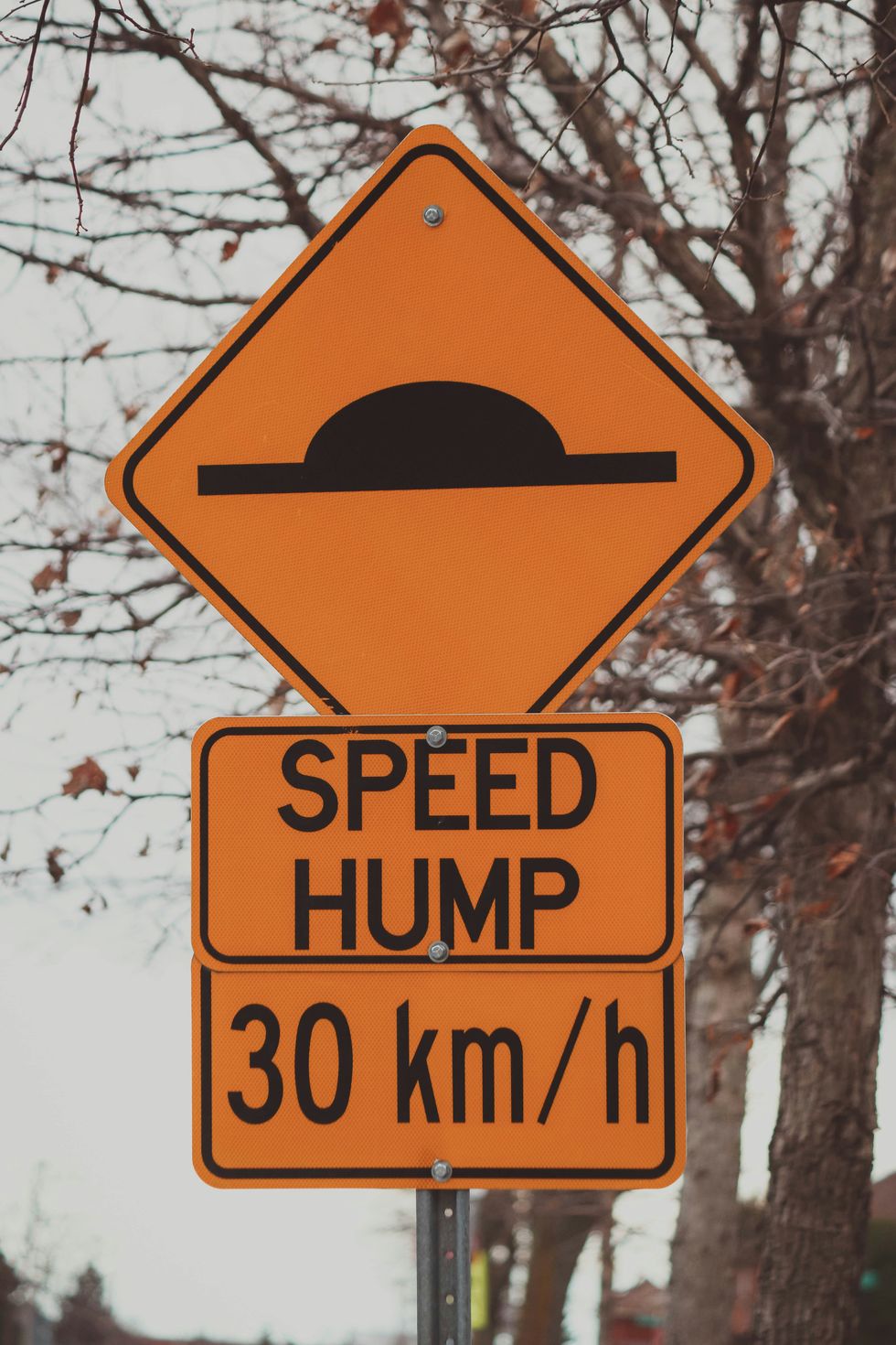 a 30km speed hump sign sitting next to a tree