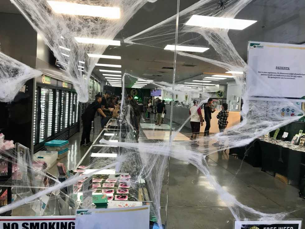 Redefining a standard for future of Arizona marijuana industry