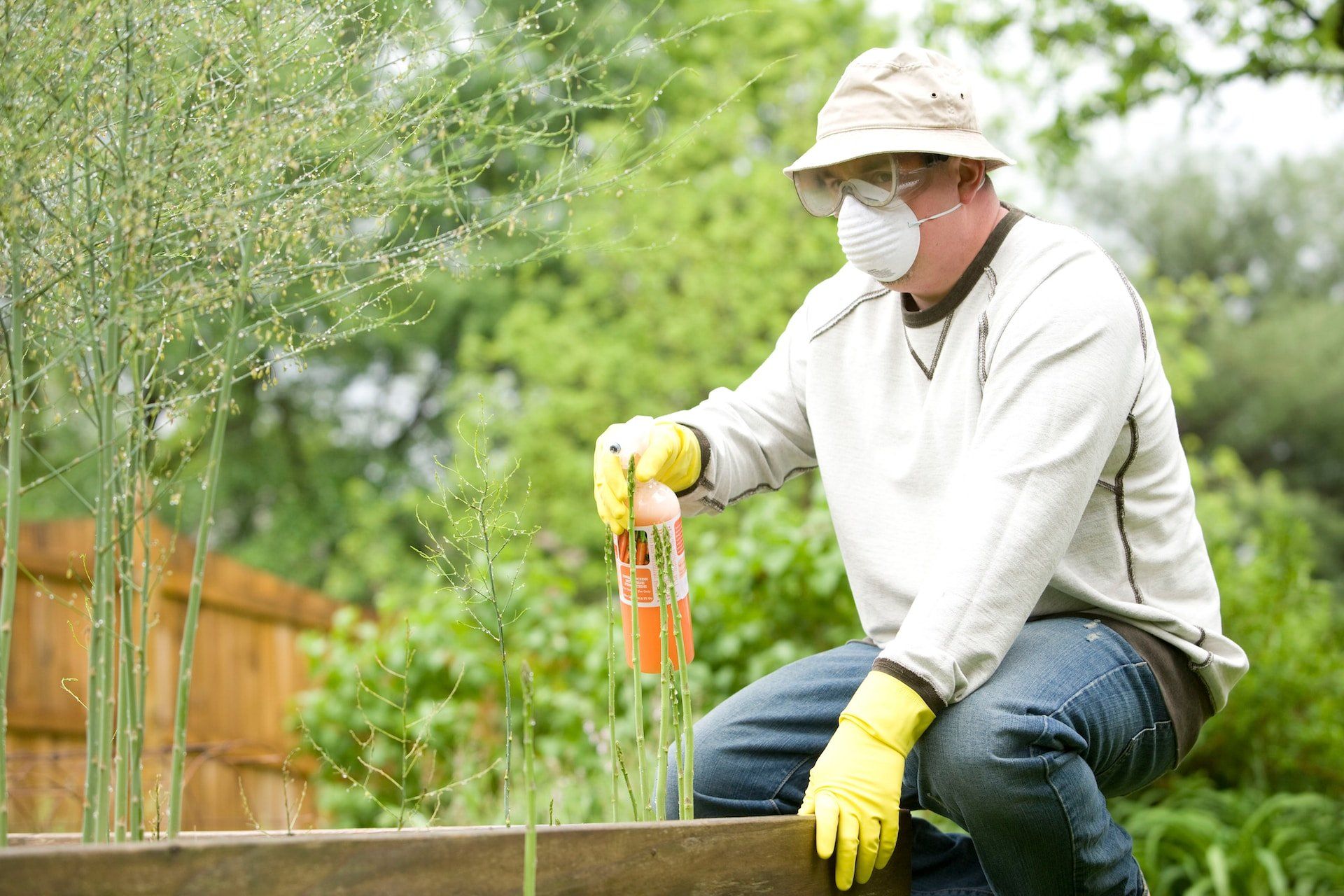 A man with protective gear spraying some kind of pesticide in a backyard garden