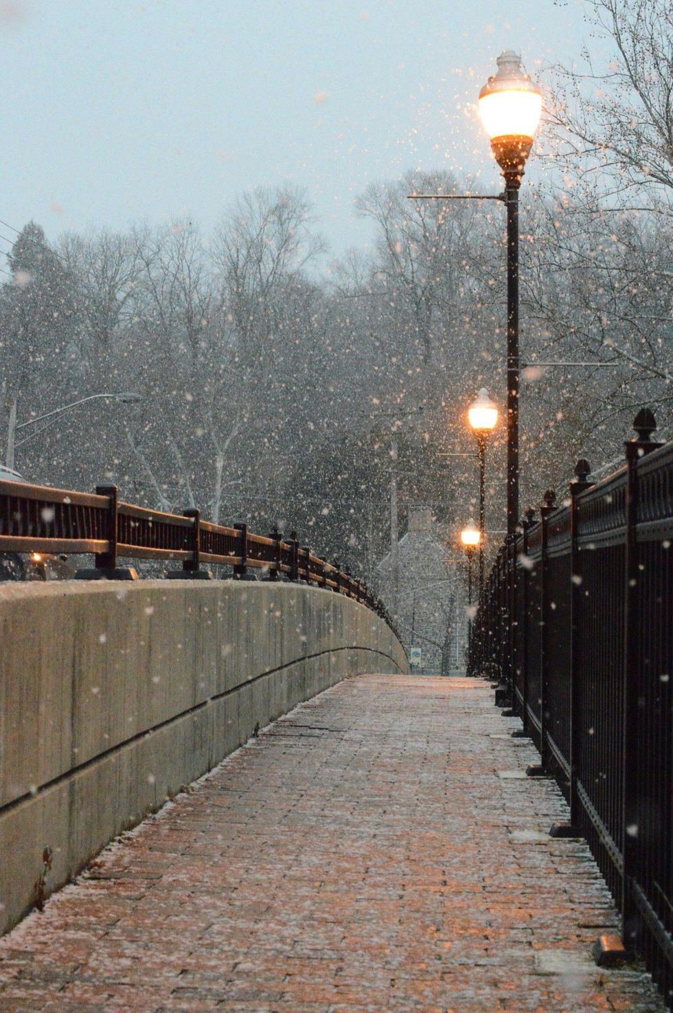 A pedestrian pathway with lamps and snowfall.