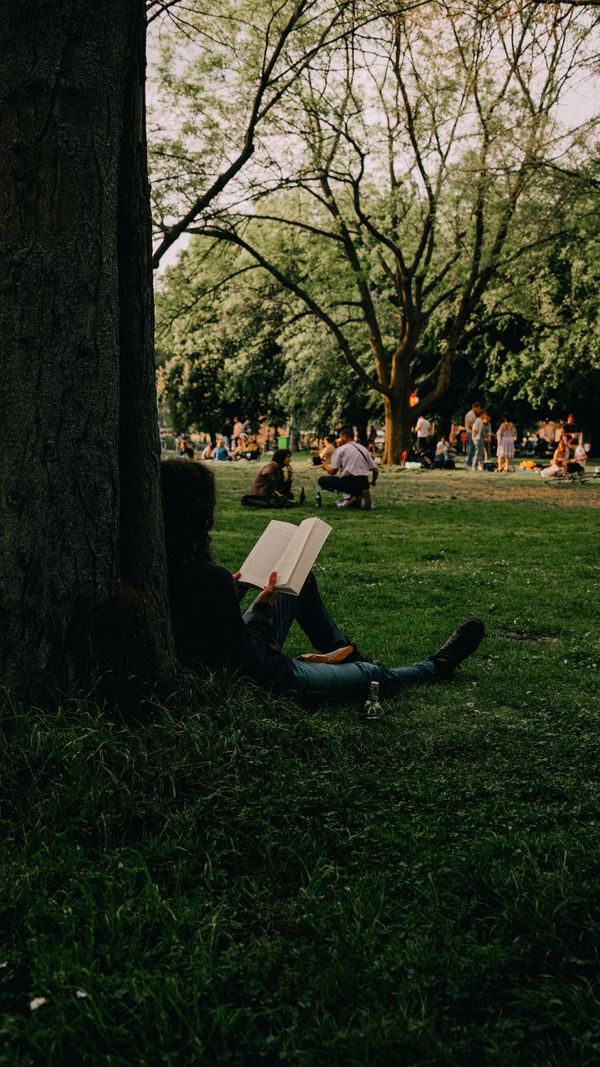 A person sitting under a tree reading a book