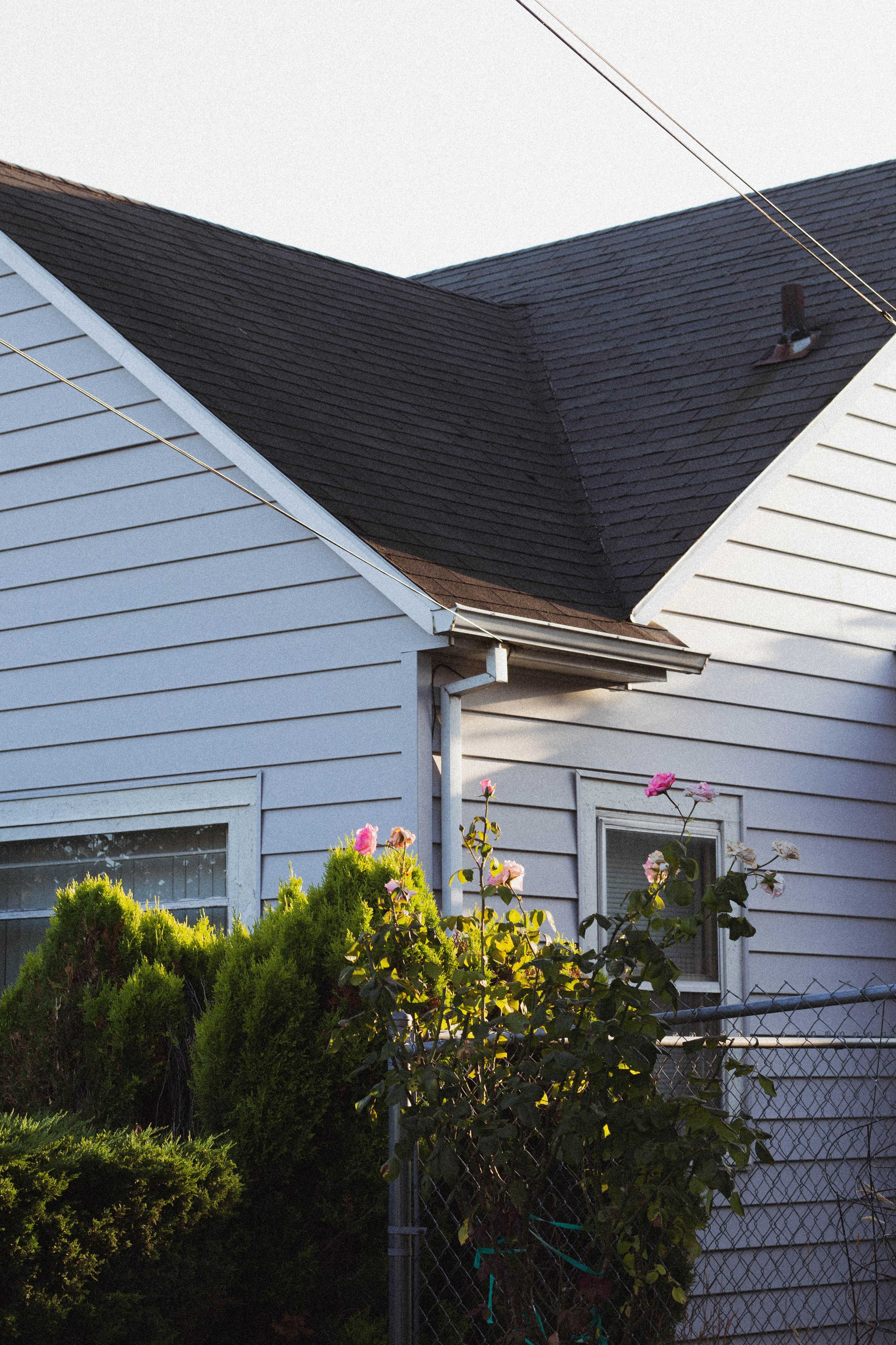 A roof corner of a home.