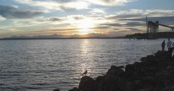 A seagull on the rocks in front of the Elliot Bay and a sunset