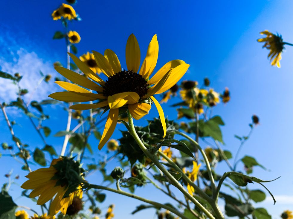 Pictures of Beautiful Manhattan, Kansas