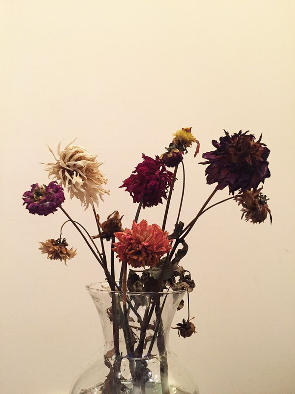 A vase of dead flowers