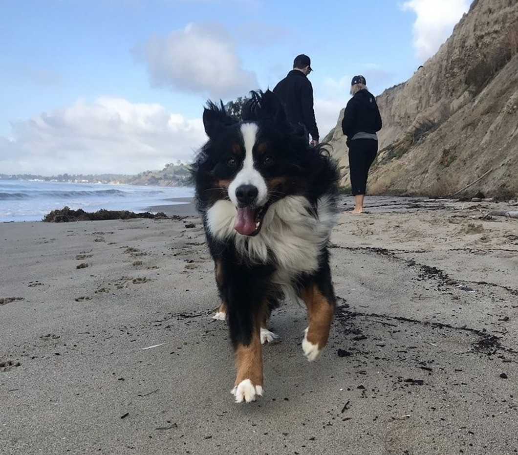 The Influencer You Didn't Know You Needed