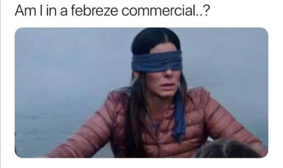 Am I in a febreze commercial...?