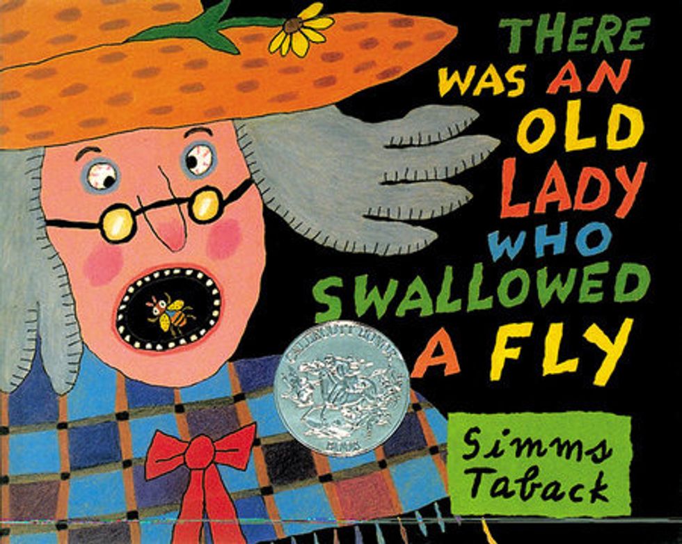 An Old Lady Who Swallowed A Fly Book