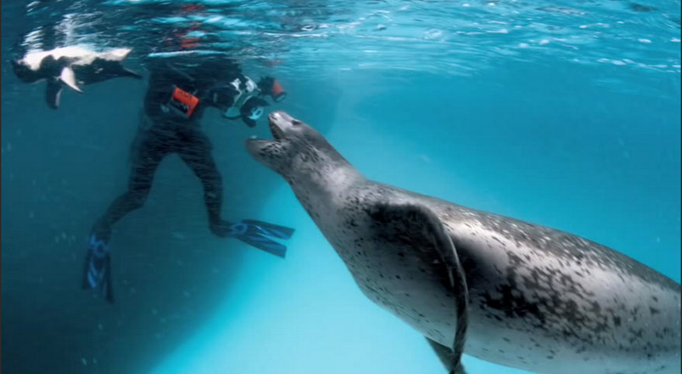 animal that reminds you of someone you know