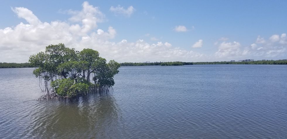 The Beauty Of Florida State Parks