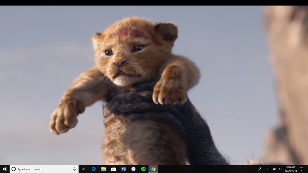 baby simba in disneys live action lion king trailer