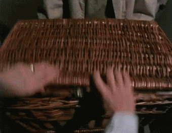 Basket Case