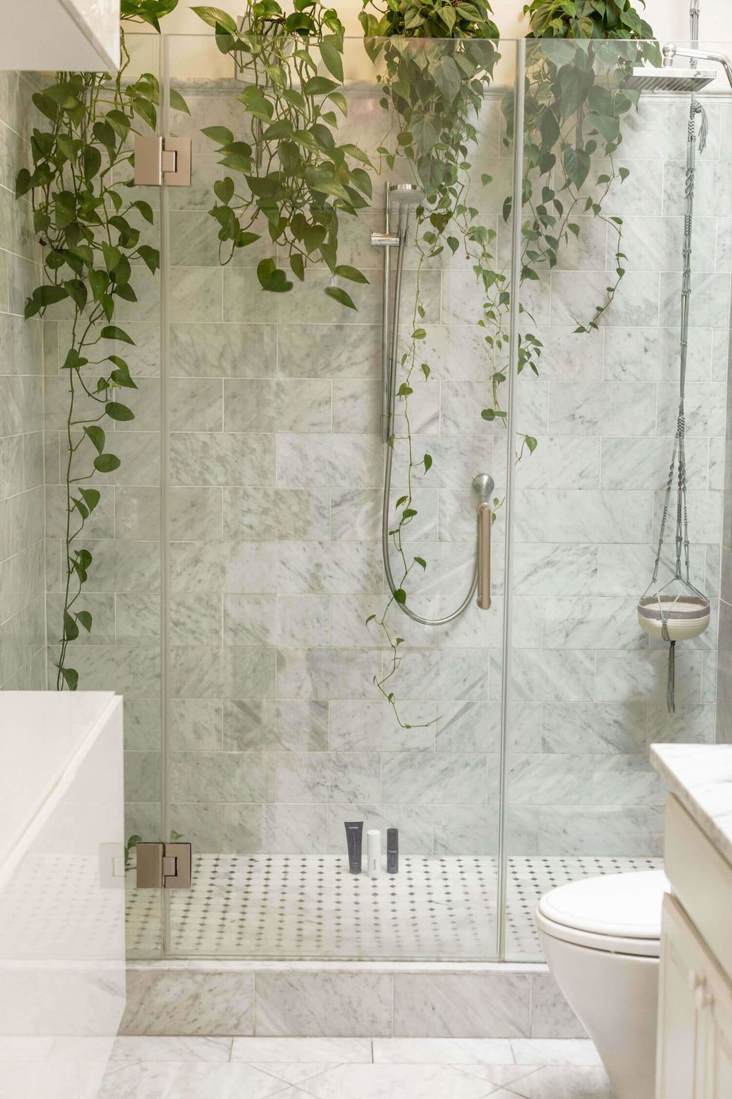 Bathroom featuring a tiled shower and flooring with decorative plants