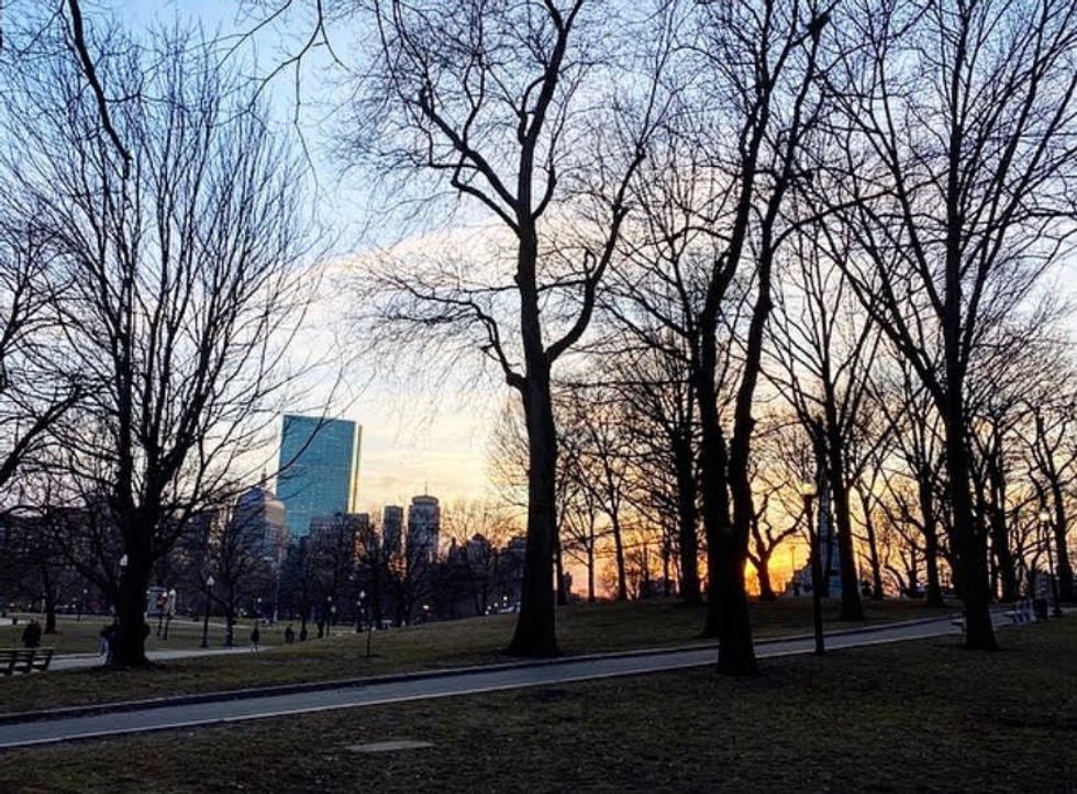 Beautiful Sun in Boston