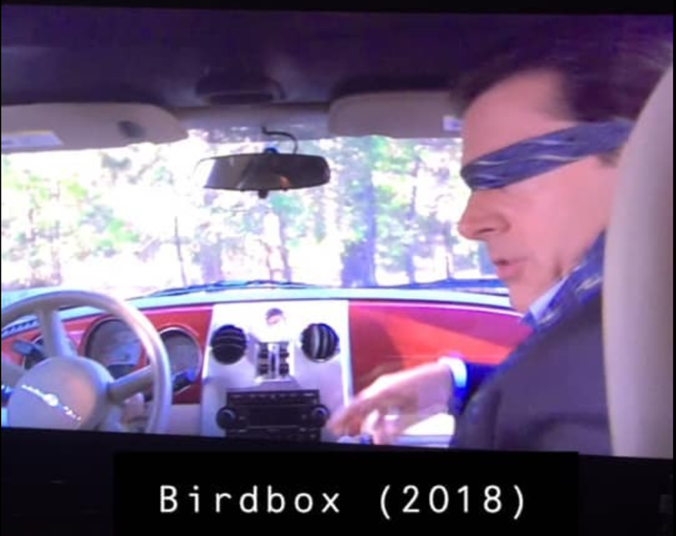 Birdbox 2018