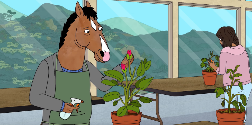 'BoJack Horseman'