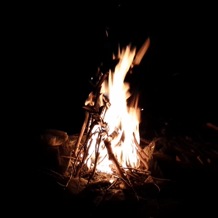 bonfire