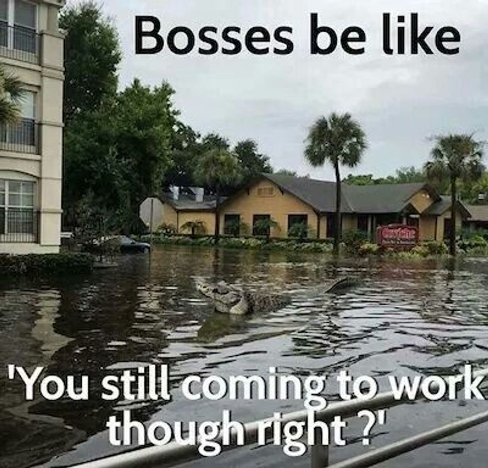 Bosses be like 