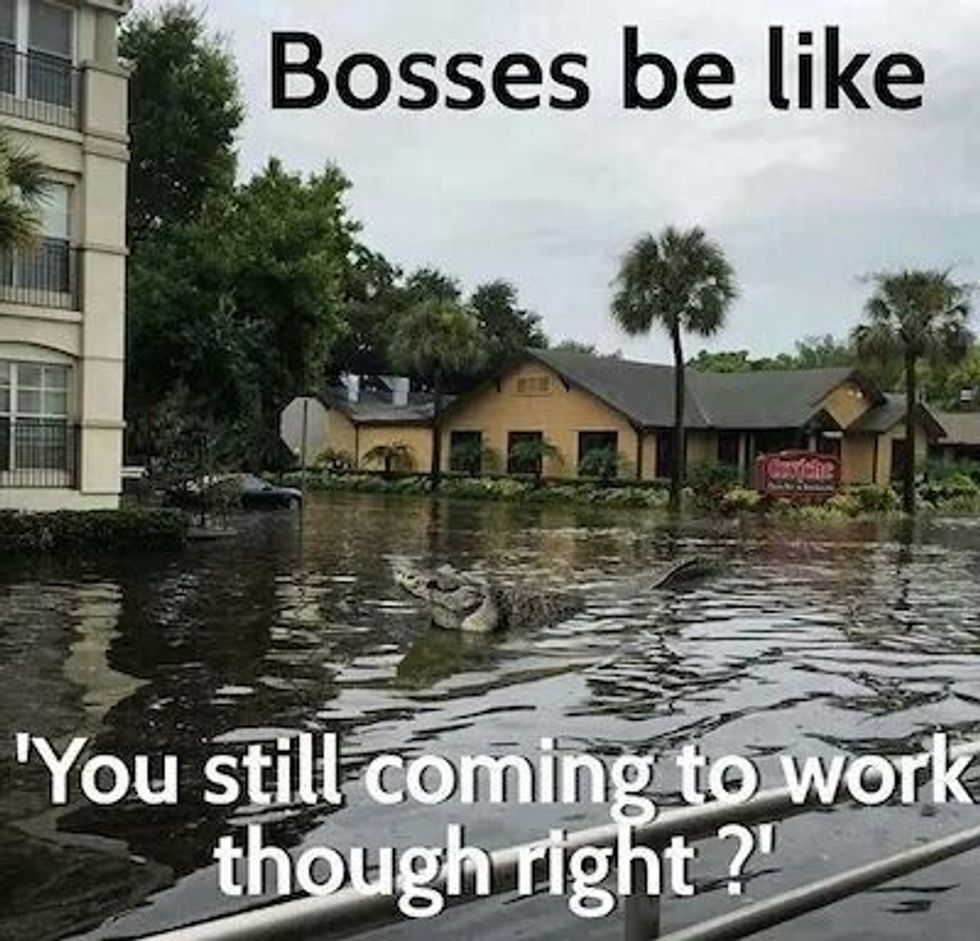 Bosses be like