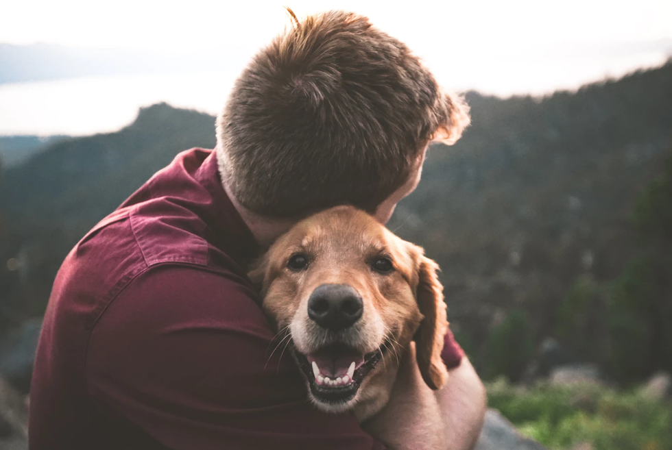 boy hugging dog