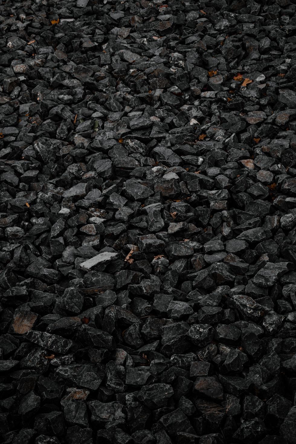 Harnessing coal sector: Mining major Coal India registers 55mt fuel offtake in May