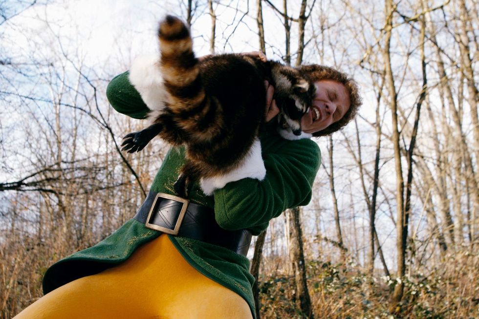 Buddy The Elf Attacked by Raccoon