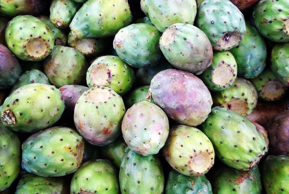 Cactus Pears