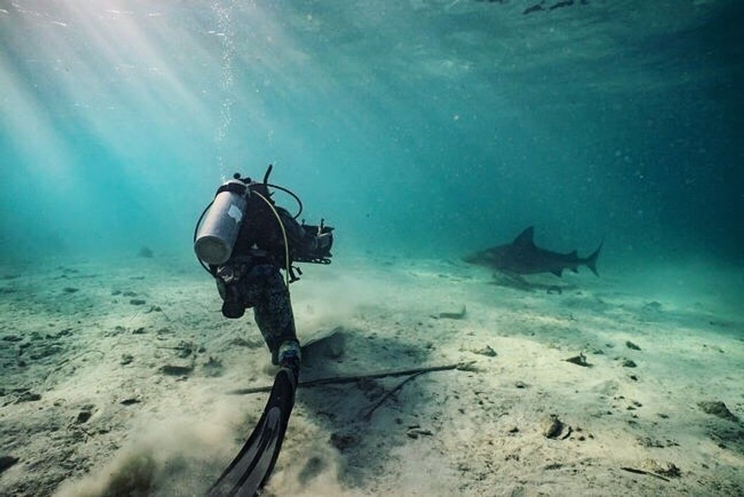 camera man filming shark underwater