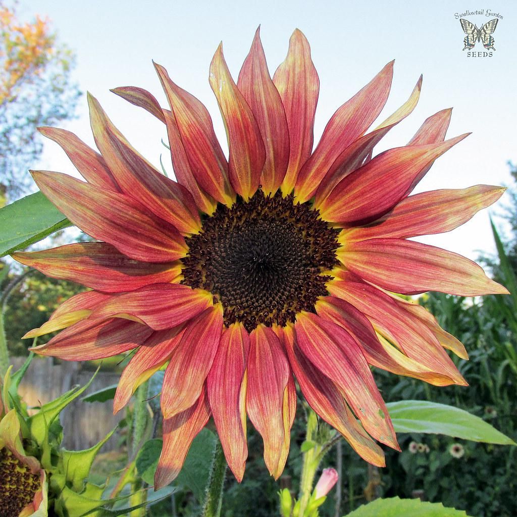 New Things Coming Soon On This Page