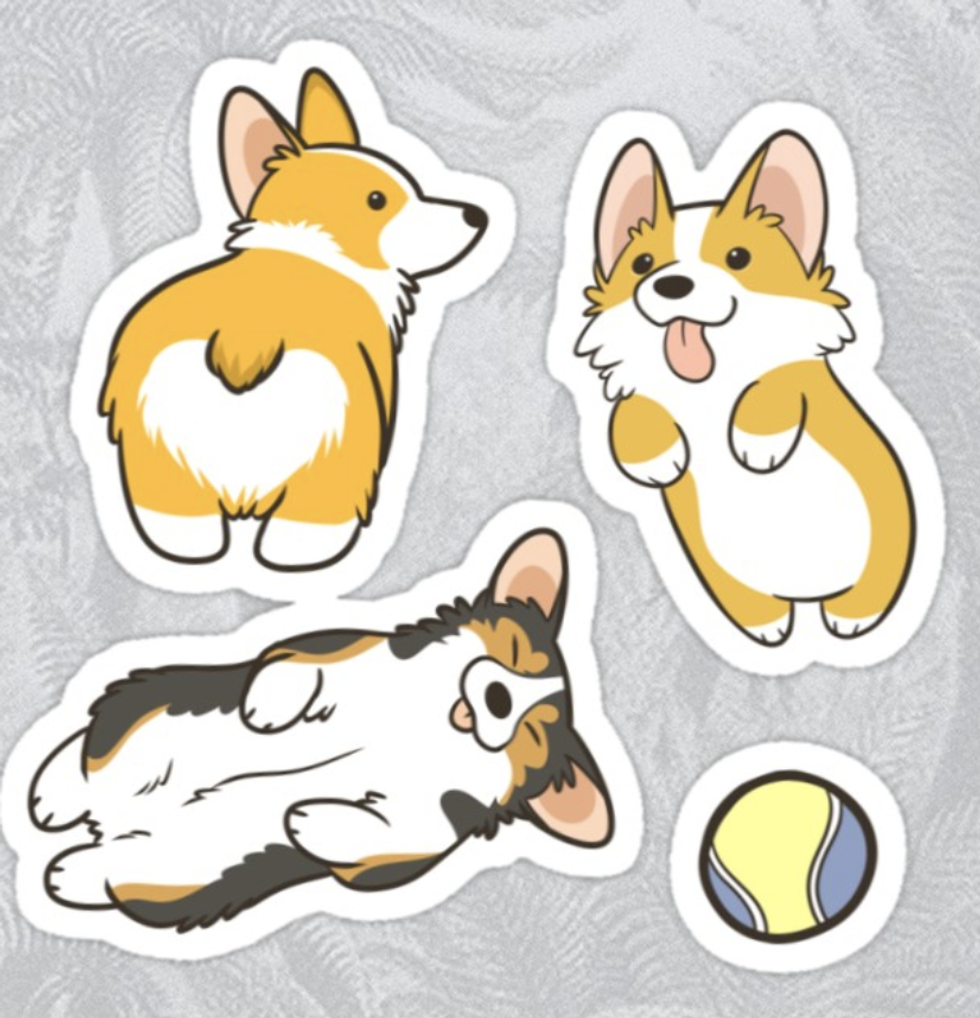 corgis