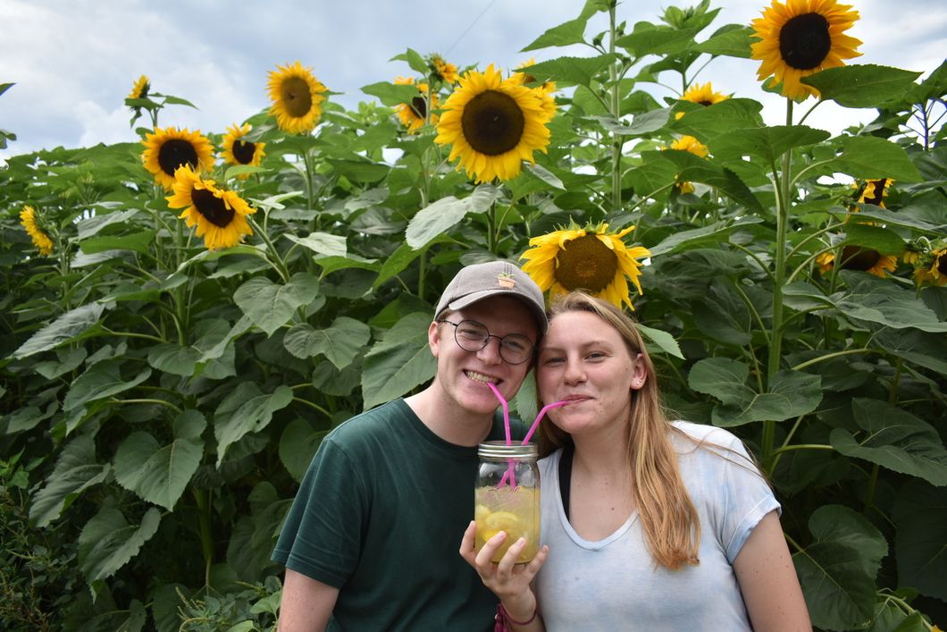 couple by sunflowers