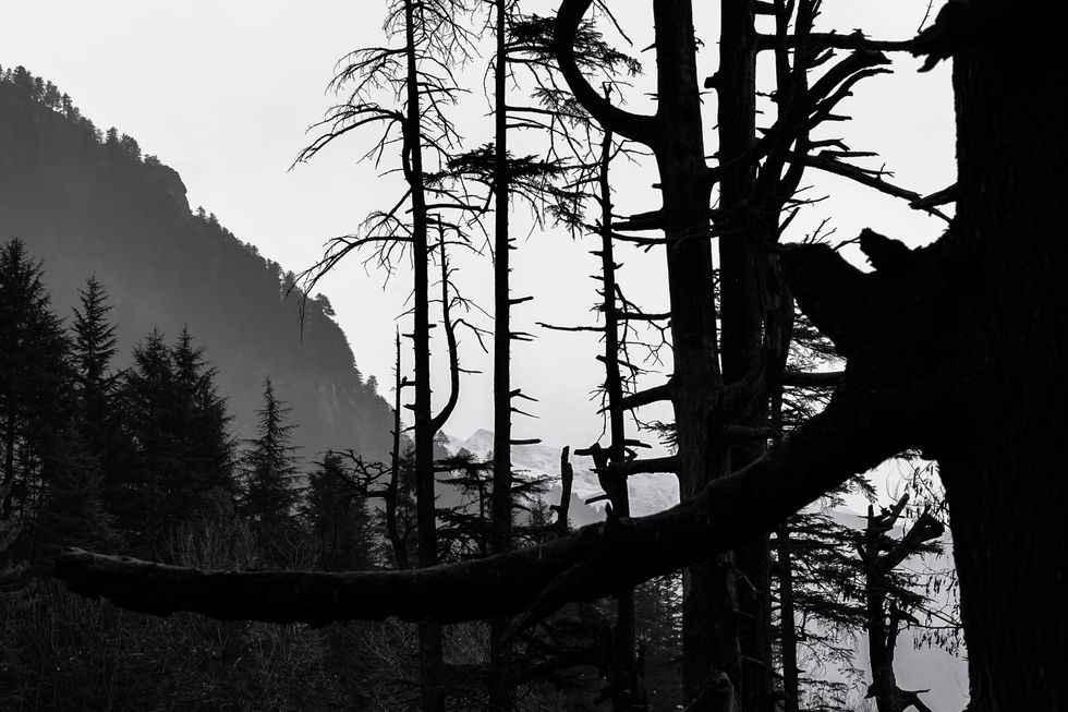 I Discovered "NoSleep" Scary Stories & My Life Has Changed