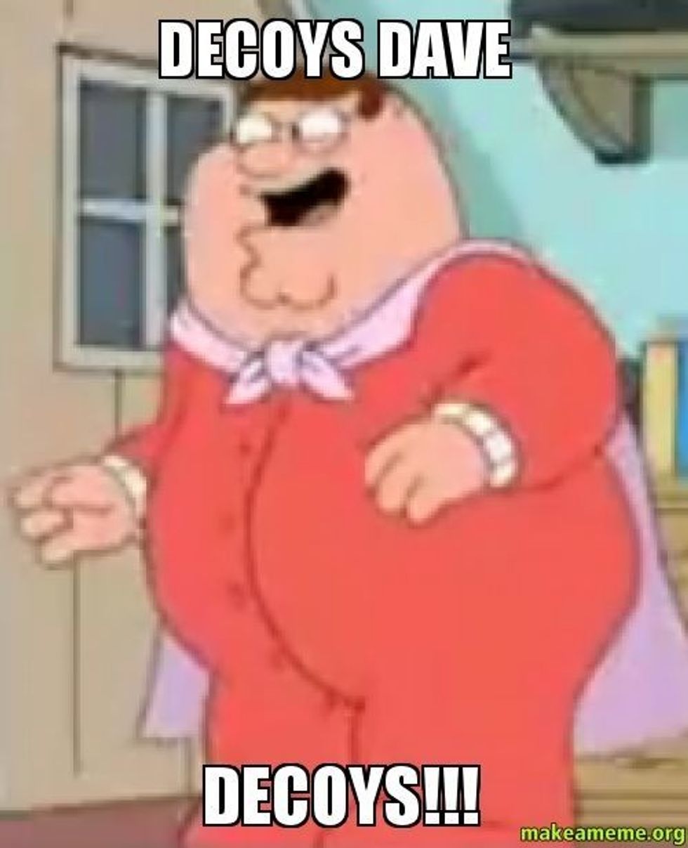 decoys dave meme