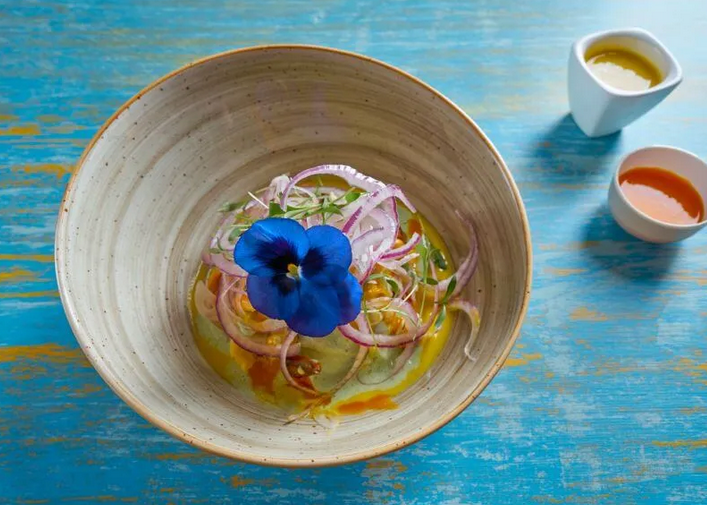 Delicious Mexican Ceviche Crab Dish