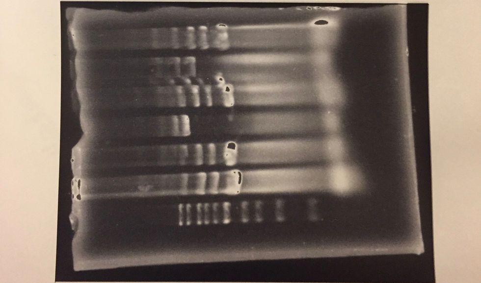 The Truth About Freshman Research