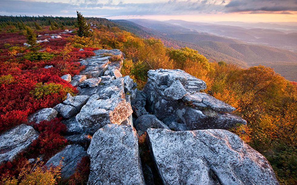Dolly Sods
