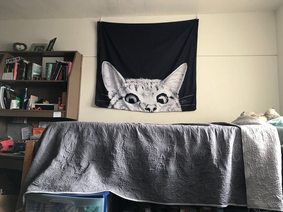 dorm room cat tapestry