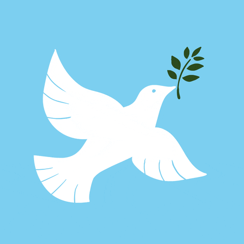 dove flies to represent peace