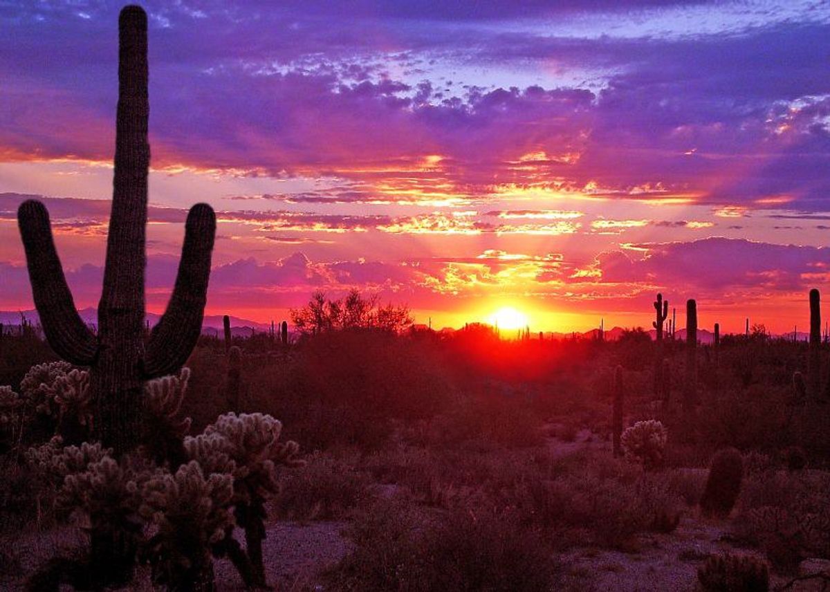 11 Reasons Why You Should Never Move to Arizona