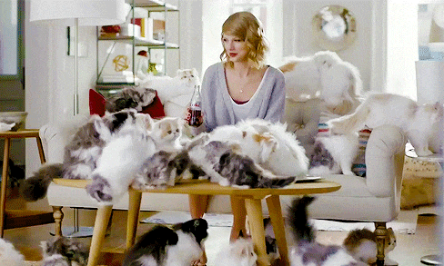 15 Times Cat GIFs Perfectly Described Your College Experience