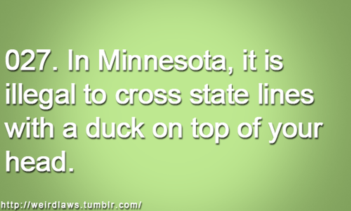 50 Weird Laws In Each State The Odyssey Online