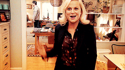 13 "Parks And Recreation" Characters Ranked