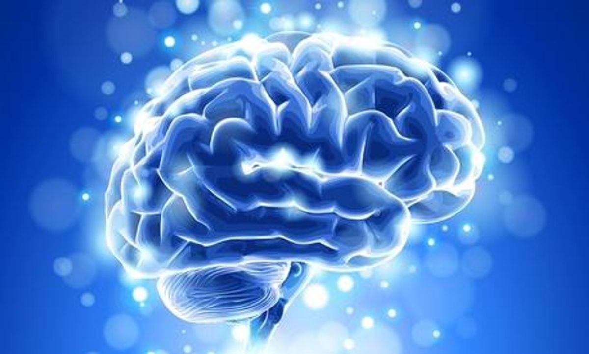 5 Facts About The Brain Everyone Should Know