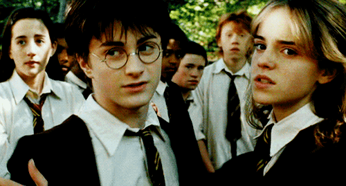 When You’re Going Abroad, As Told By Harry Potter