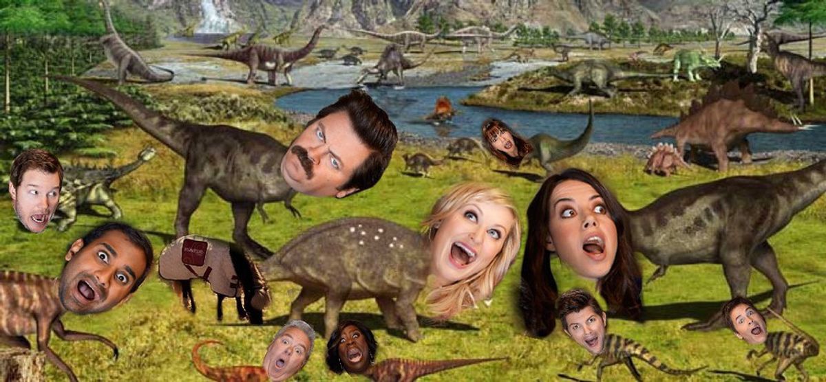 'Parks and Recreation': The Show You Need to Watch