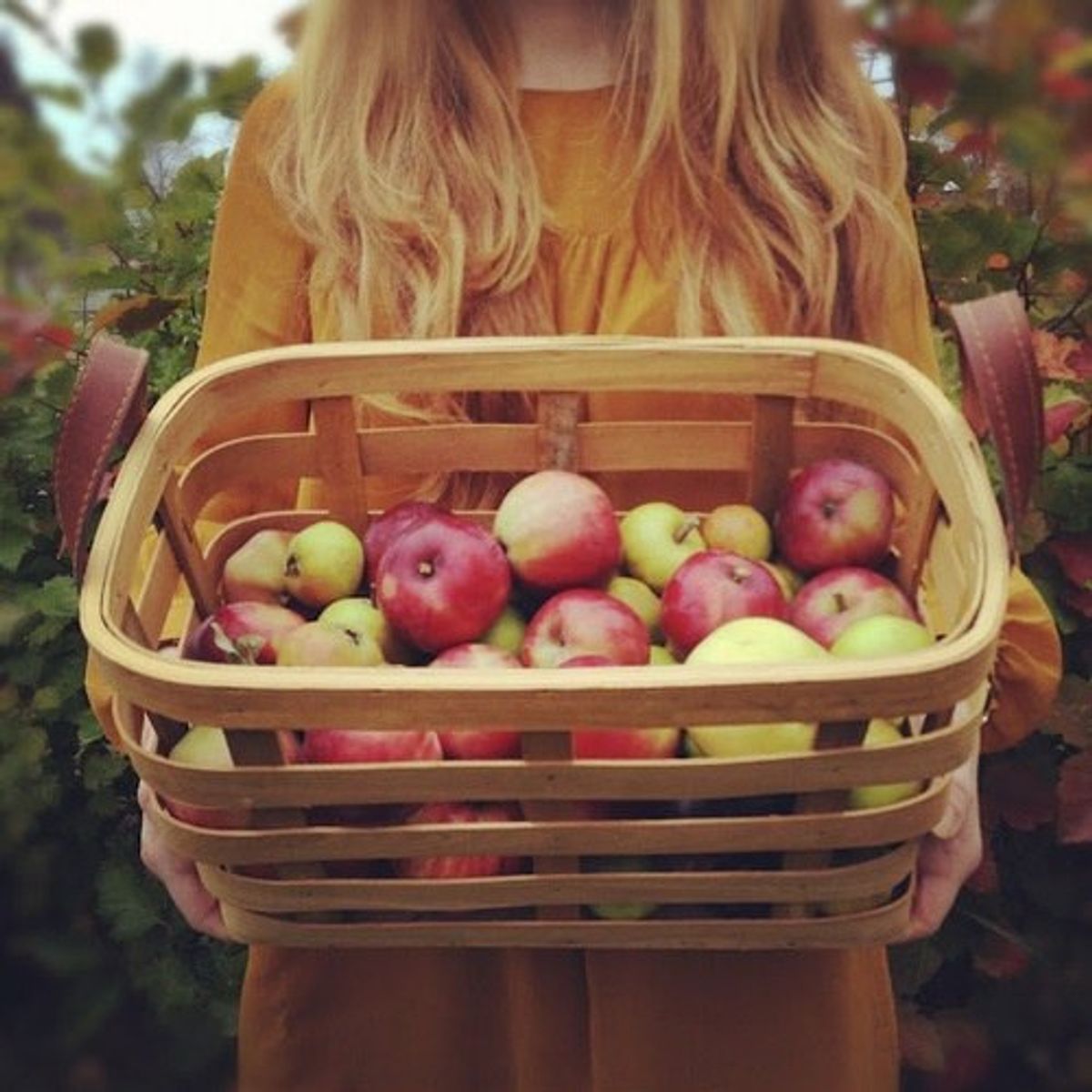 11 Reasons You're Excited For Fall