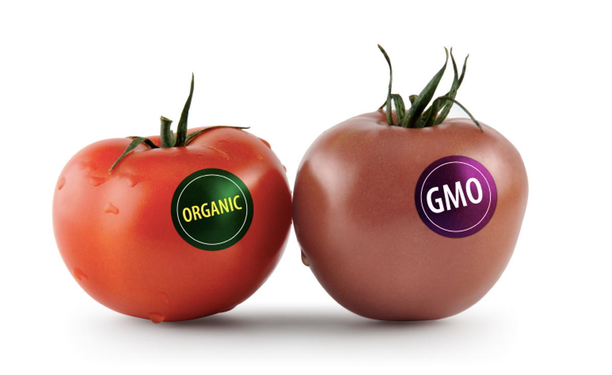 On Genetically Modified Foods, And Why Everyone Is Rightfully Concerned