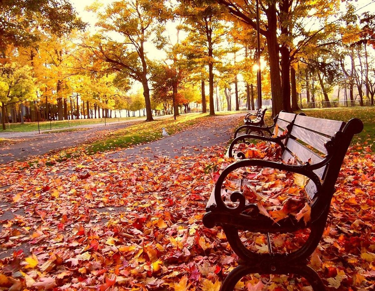 20 Reasons Why Fall is the Greatest Time of the Year