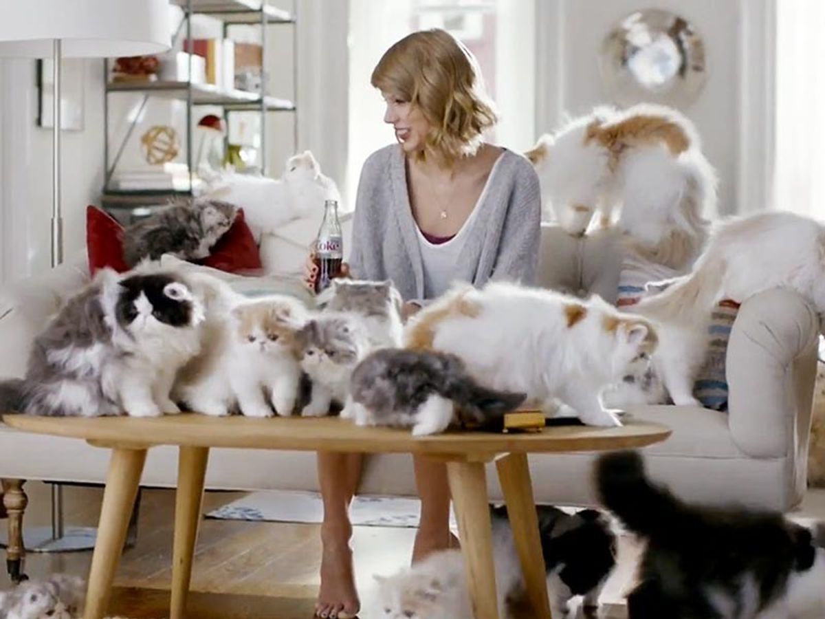 10 Signs You're A Crazy Cat Lady