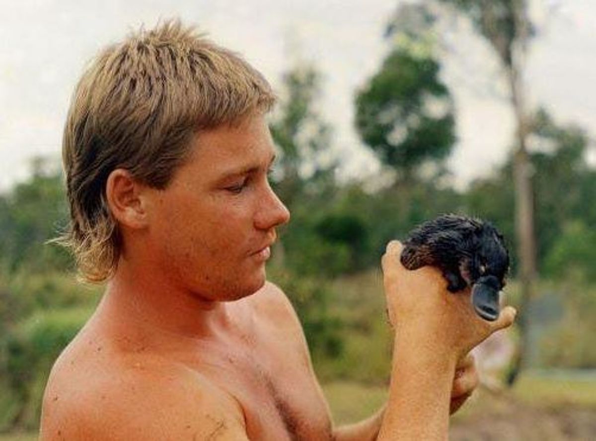 10 Things Steve Irwin Taught Us